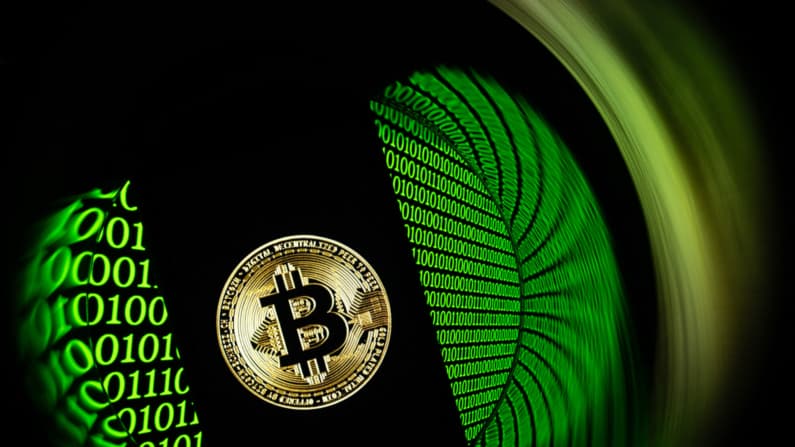 Autoridades desmantelan una granja de criptomonedas en el centro de México