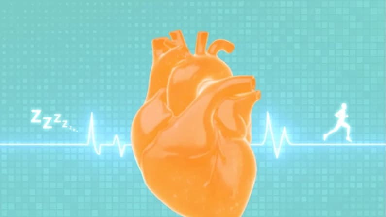 Cómo revertir una enfermedad cardíaca en un año, gratis