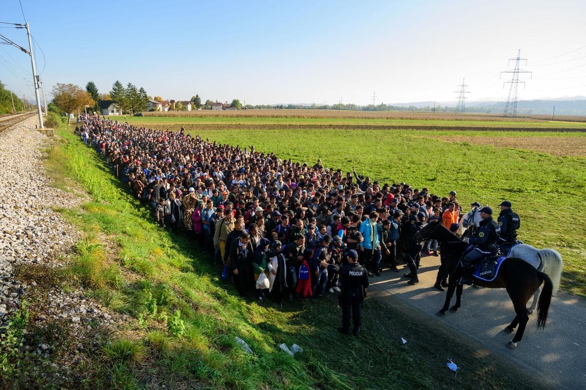 <em>La policía escolta a migrantes y solicitantes de asilo mientras caminan hacia un centro de refugiados tras cruzar la frontera croata-eslovena cerca de Rigonce el 24 de octubre de 2015. (Jure Makovec/AFP/Getty Images).</em>