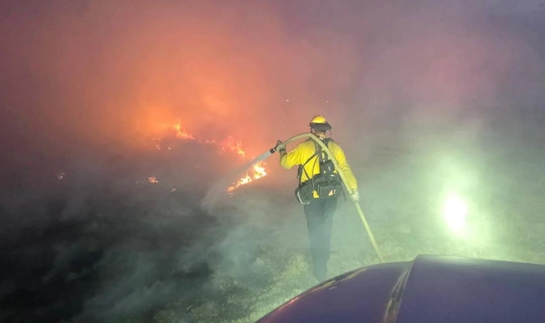 Las brigadas del Departamento de Bomberos de White Mountain controlaron rápidamente un incendio forestal en California Central que comenzó el 30 de marzo de 2025. (Departamento de Bomberos de White Mountain)