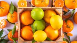 Beneficios de los cítricos para la buena circulación y el funcionamiento del cerebro