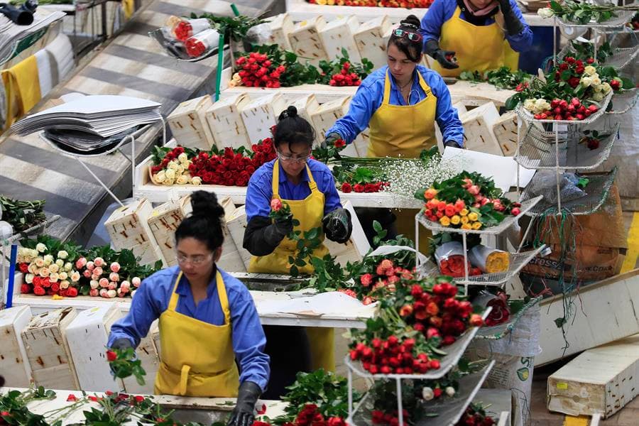 Colombia busca negociar con EE. UU. la disminución o eliminación del arancel del 10 %