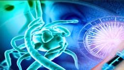 Antiguo antibiótico muestra resultados prometedores contra la enfermedad de Lyme en dosis ultrabajas
