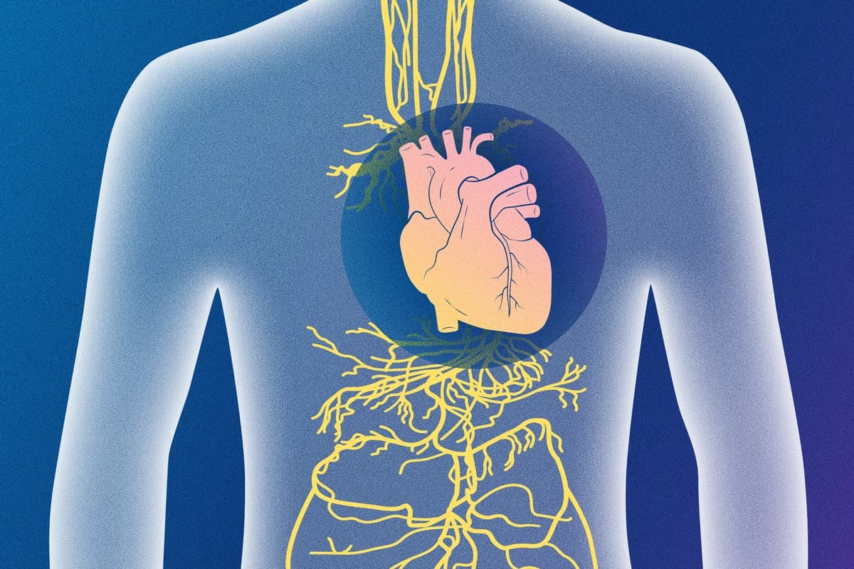 (Ilustración de The Epoch Times / Shutterstock)