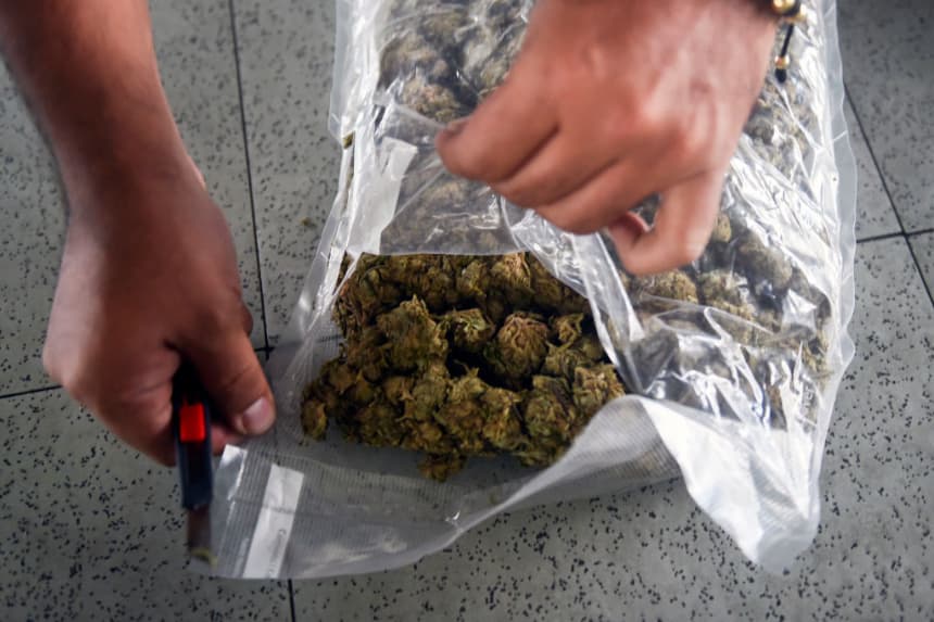 Incautan más de una tonelada de marihuana en el sureste de Colombia