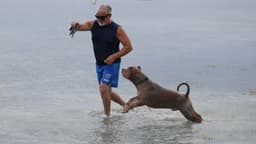 Nuevas leyes de Florida combaten la crueldad animal con penas de cárcel y multas más severas