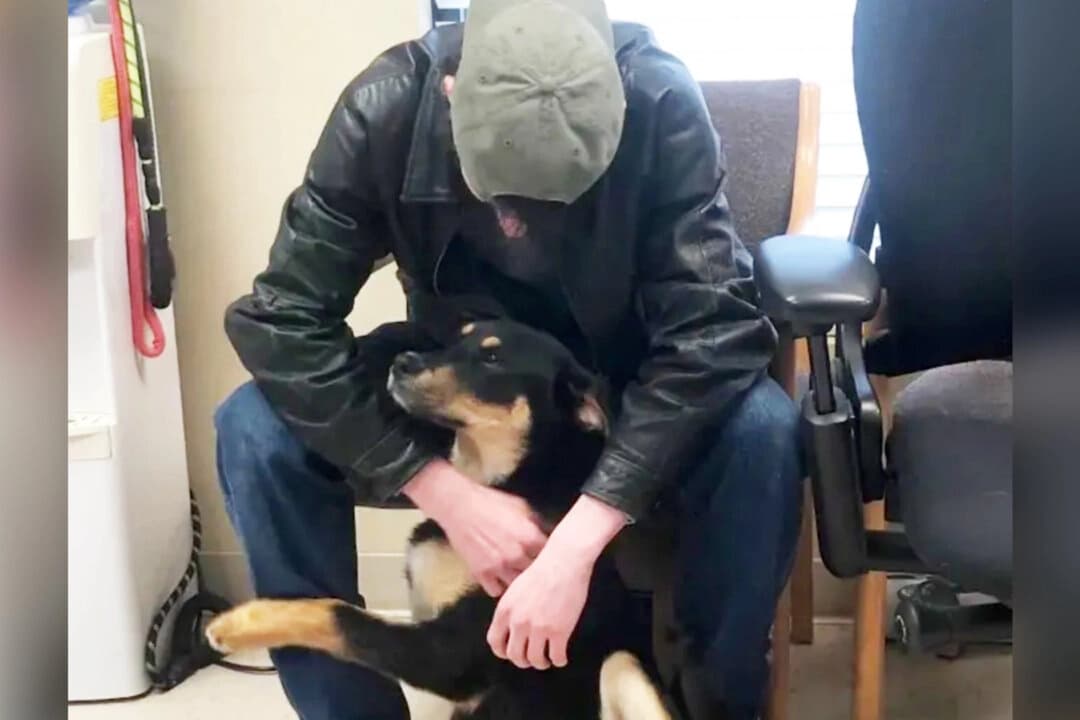 Emotivo reencuentro de un joven que vivía bajo un puente y por amor dejó a su perrita en un refugio