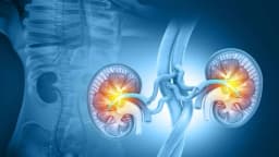 Primeros signos de la enfermedad renal y formas antiguas de proteger los riñones