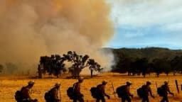 Megaincendio en el sur de California avanza hacia San Luis Obispo en zona vinícola
