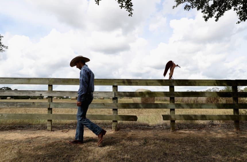 Miembros del Tren de Aragua y otros grupos "hostiles" no podrán comprar tierras en Texas: Greg Abbot