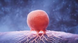 El cáncer no está solo en los genes: Conozca a estos principales culpables