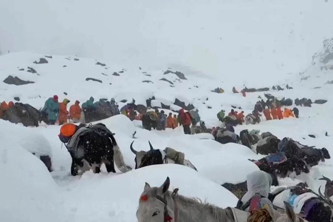 Los aldeanos, con sus bueyes y caballos, ascienden la montaña durante las labores de rescate para llegar hasta los cientos de excursionistas atrapados por las fuertes nevadas en los campamentos turísticos situados en una ladera del monte Everest, en el Tíbet, el 5 de octubre de 2025. (Lingsuiye vía AP)