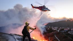 Arrestan a hombre de 29 años de Florida por el incendio de Palisades