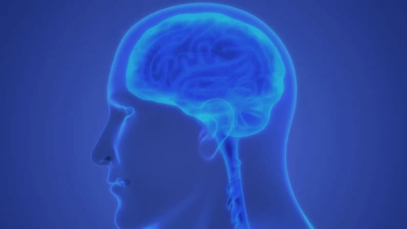 Enfermedad de las encías se relaciona con un riesgo casi doble de accidente cerebrovascular: Estudio