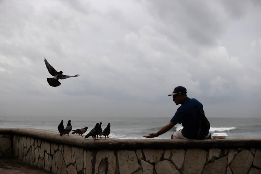 Una persona alimenta a las palomas en la playa Güibia en Santo Domingo (EFE/ Orlando Barría)