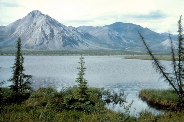 Esta foto sin fecha muestra el Refugio Nacional de Vida Silvestre del Ártico en Alaska. (Servicio de Pesca y Vida Silvestre de EE. UU./Getty Images)