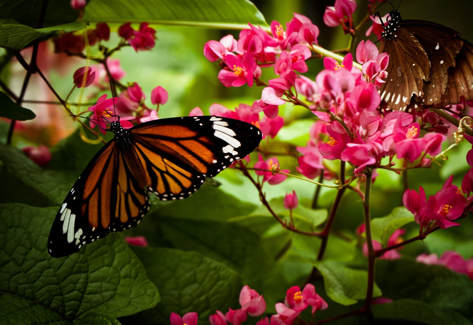 (Imagen de wirestock en Freepik)
