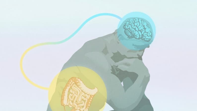 El misterio de la intuición: ¿De dónde provienen realmente los presentimientos?