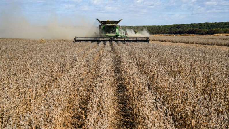 Admón. Trump anunciará paquete de ayuda para agricultores en medio de acuerdo de soya con China