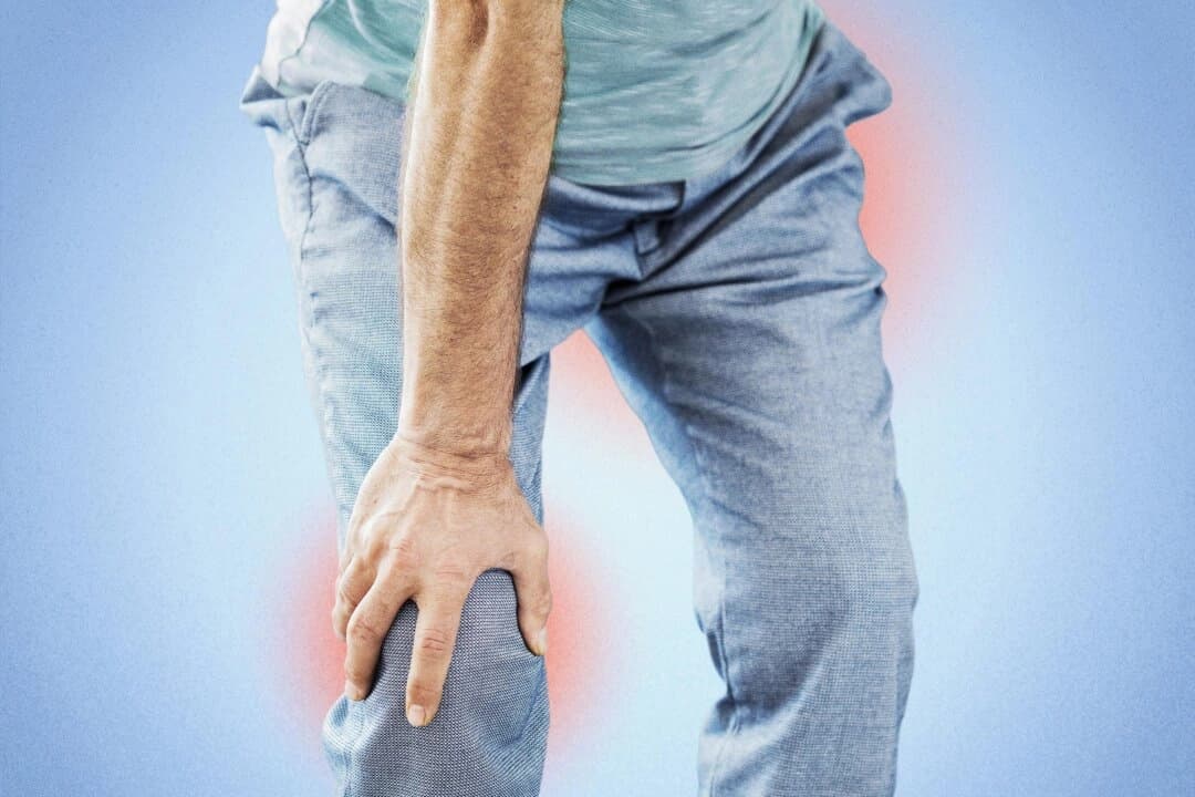 (sebra/Shutterstock)