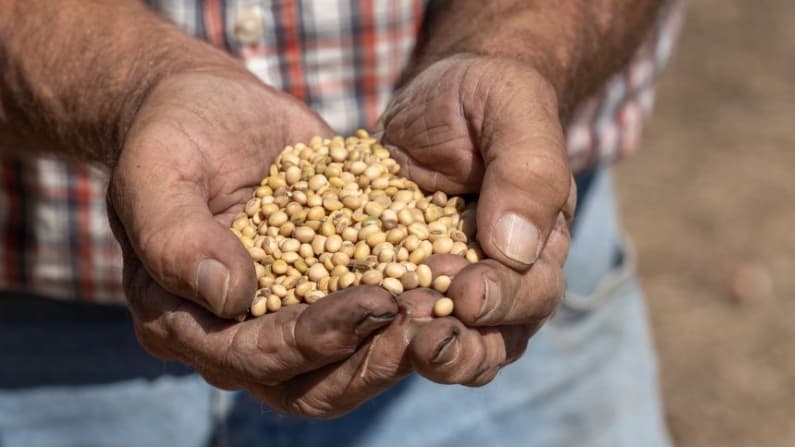 La Casa Blanca presentará un programa de ayuda para agricultores