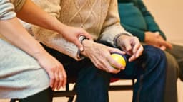Investigadores logran revertir el Alzheimer en ratones: Estudio