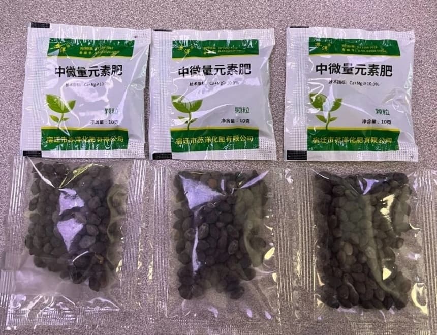 Tejanos informan aumento de semillas misteriosas enviadas por correo desde China