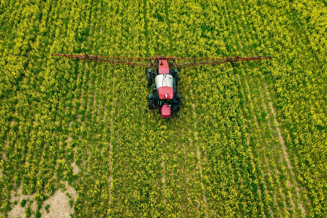 El argumento conservador a favor de la reforma de los pesticidas