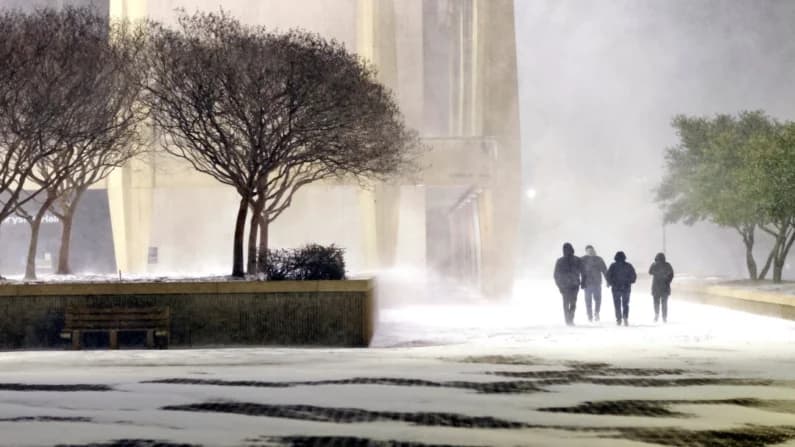 Clima invernal provoca fuertes nevadas, cancelaciones de vuelos y, en Florida, la muerte de iguanas