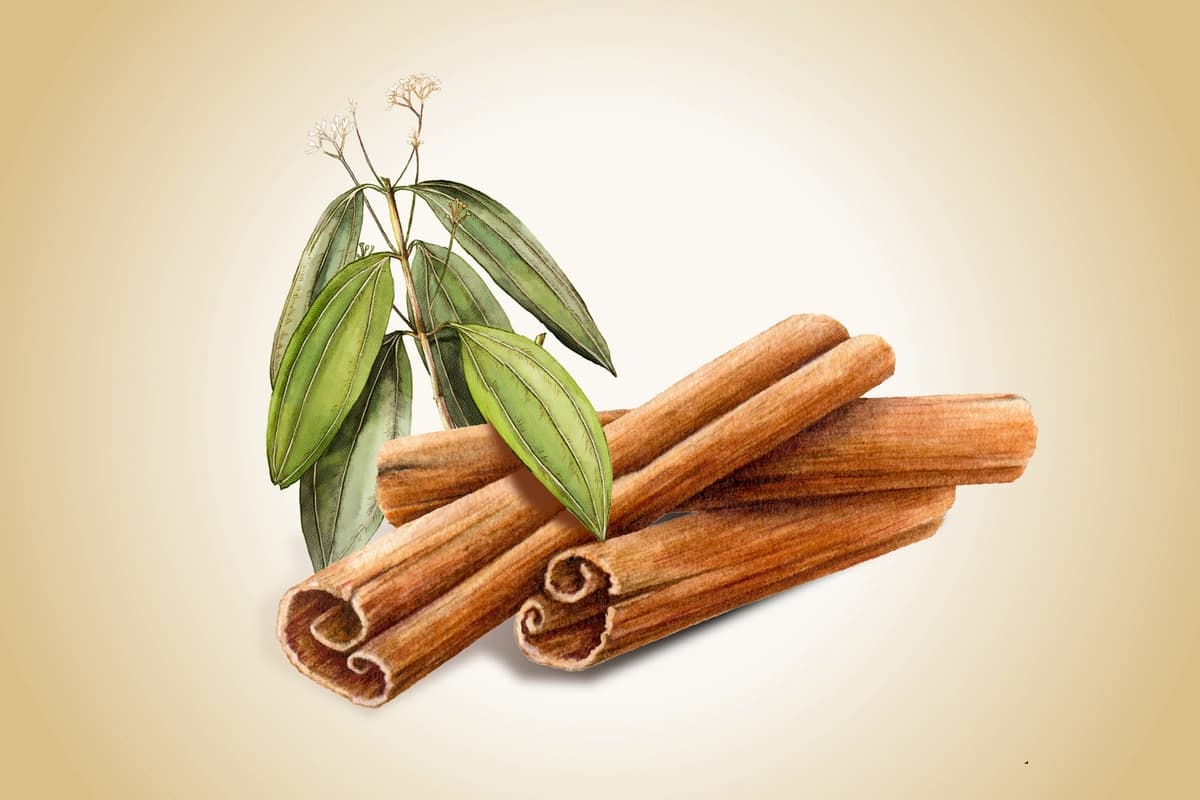 (Ilustración de The Epochtimes, Shutterstock)