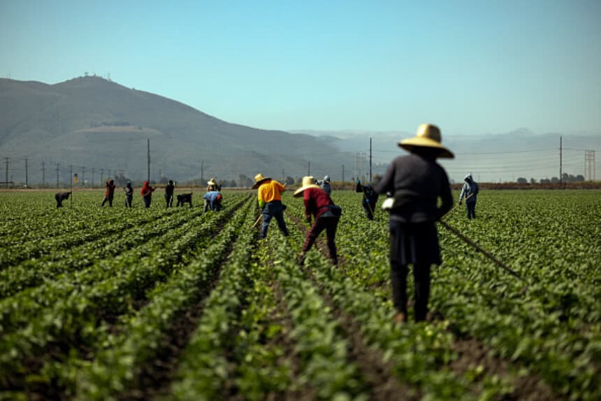 Acusan a tres personas por presunta trata laboral mediante programa de visas agrícolas