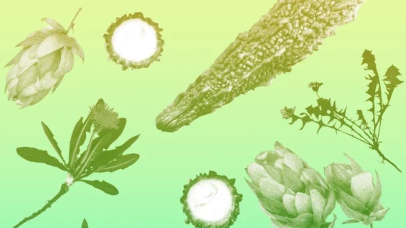 ¿Por qué comer más alimentos amargos?