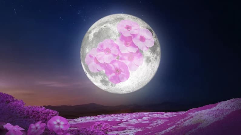 "Luna de Fresa" de junio anunciará el calor del verano tras el frío primaveral: lo que debe saber