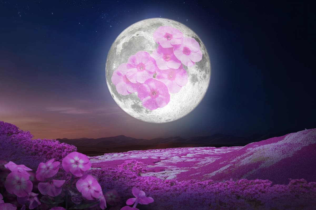 "Luna de Fresa" de junio anunciará el calor del verano tras el frío primaveral: lo que debe saber
