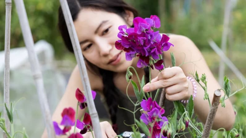 "Una vida de la que no necesitas escapar": Los orígenes del movimiento "Slow Living" de la Generación Z