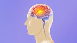Nivel de vitamina D puede influir en el estado del cerebro años más tarde