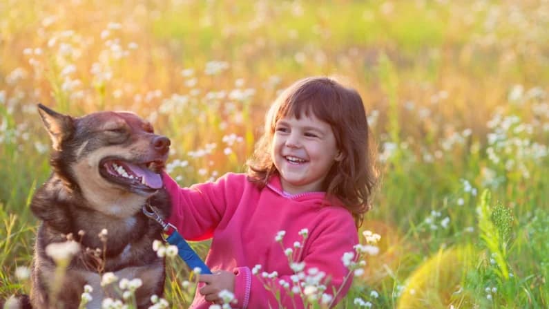 Compañerismo fiel: Argumentos a favor de tener un perro