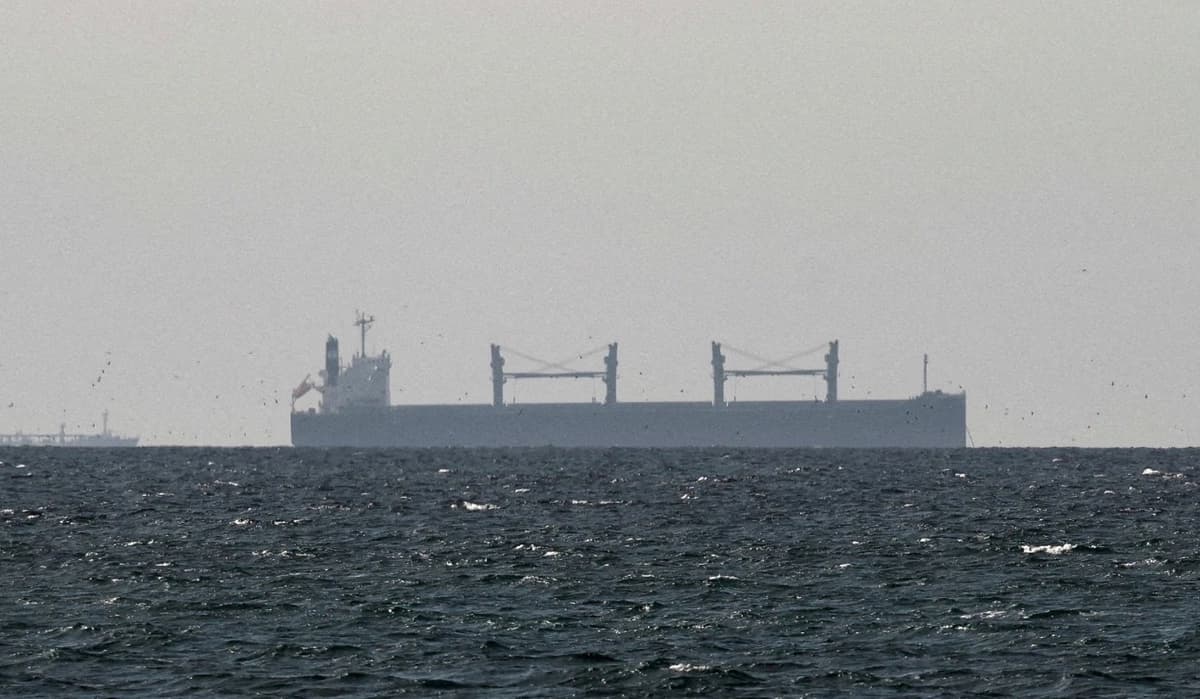 Un buque de carga permanece anclado en el Golfo de Omán, cerca del Estrecho de Ormuz, visto desde el norte de Ras al-Khaimah, cerca de la frontera con la Gobernación de Musandam de Omán, en los Emiratos Árabes Unidos, el 11 de marzo de 2026. (Stringer/Reuters)