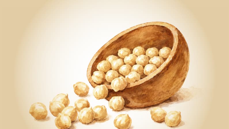 Garbanzos: Alimento rico en nutrientes alimenta bacterias intestinales y mejora la función digestiva