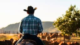 Las cargas que los hombres siguen soportando