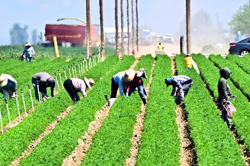 USDA y Palantir firman acuerdo de 300 millones para modernizar agricultura y reforzar seguridad
