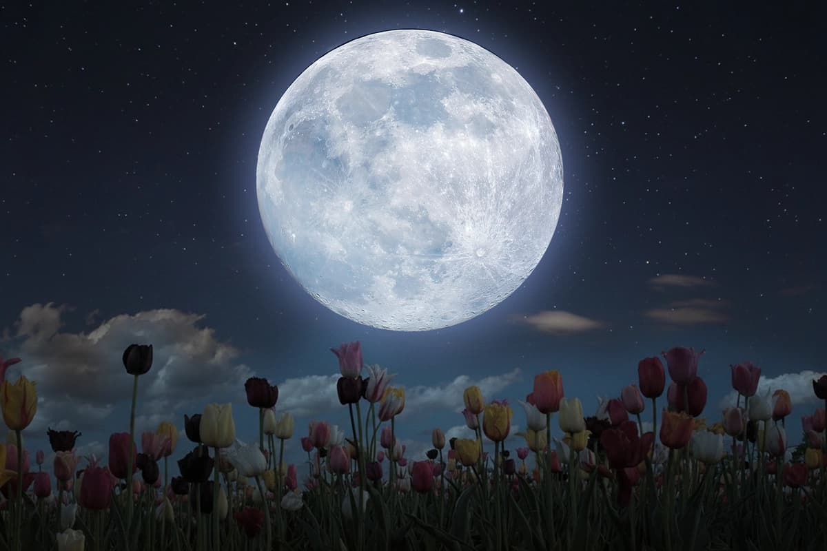 En mayo habrá dos lunas llenas, incluyendo una rara microluna azul: Todo lo que necesita saber