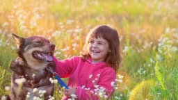 7 maneras sorprendentemente prácticas para ser más feliz, según Aristóteles