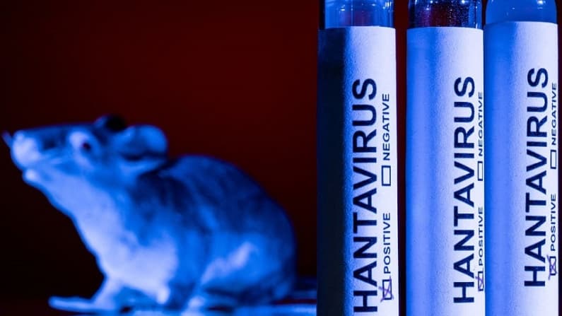 Dos estadounidenses dan positivo o presentan síntomas de hantavirus: lo que hay que saber