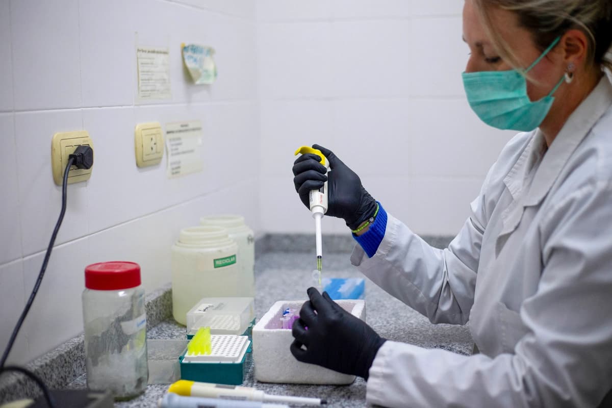 Un técnico de laboratorio realiza una extracción de ADN para ayudar a identificar y rastrear el hantavirus en la Facultad de Ciencias Exactas, Físicas y Naturales de Córdoba, Argentina, el 13 de mayo de 2026. (Diego Lima/AFP vía Getty Images).