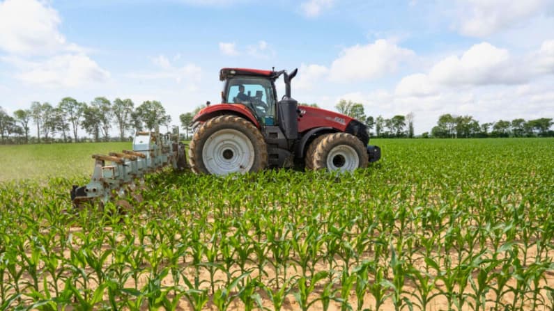 ONU advierte que interrupción del tráfico en el estrecho de Ormuz provocaría crisis alimentaria global