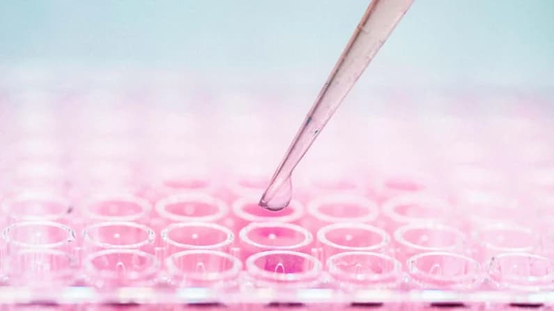 ¿Pueden sus células madre curarle? promesas y límites