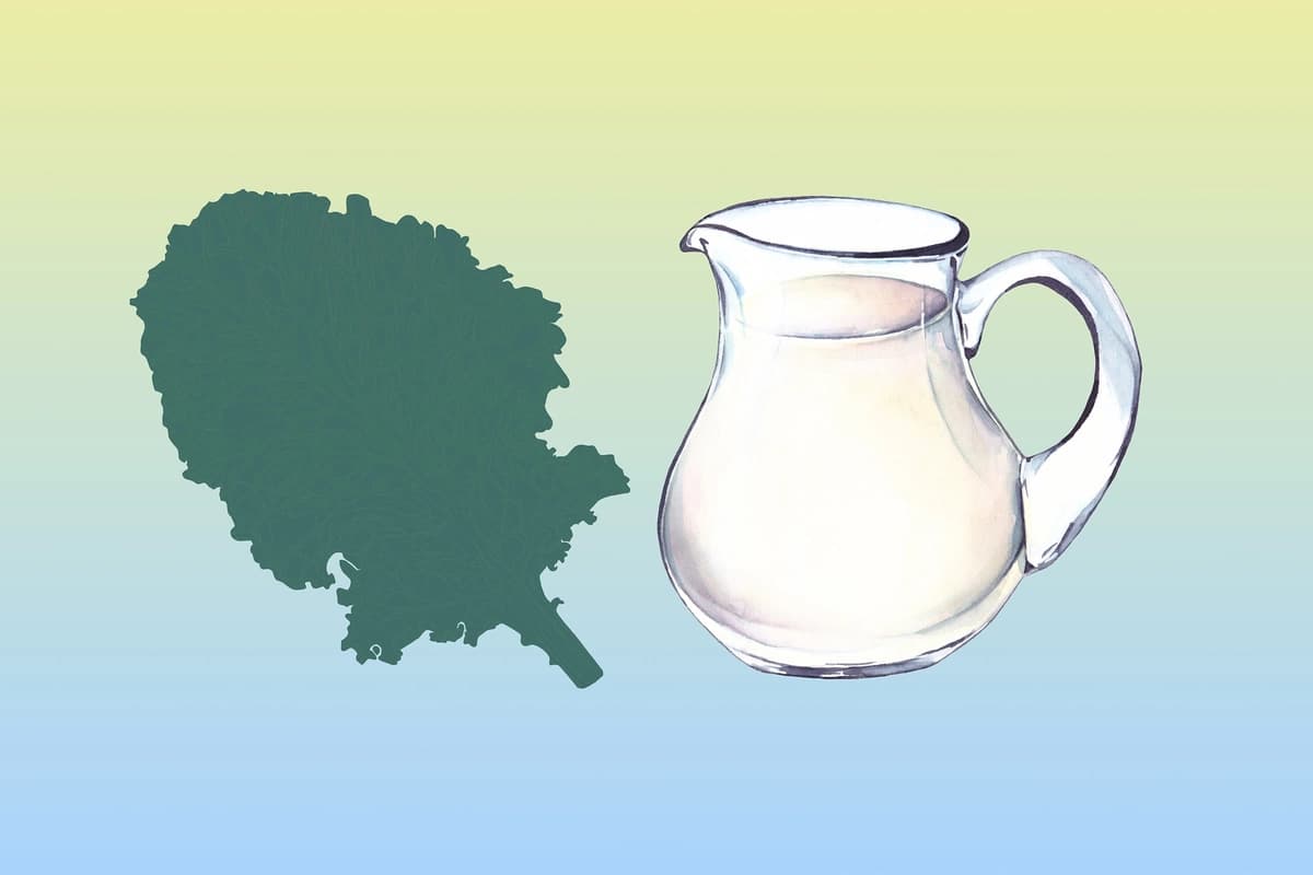 La verdura que supera a la leche en absorción de calcio. (Ilustración de The Epoch Times, Shutterstock).
