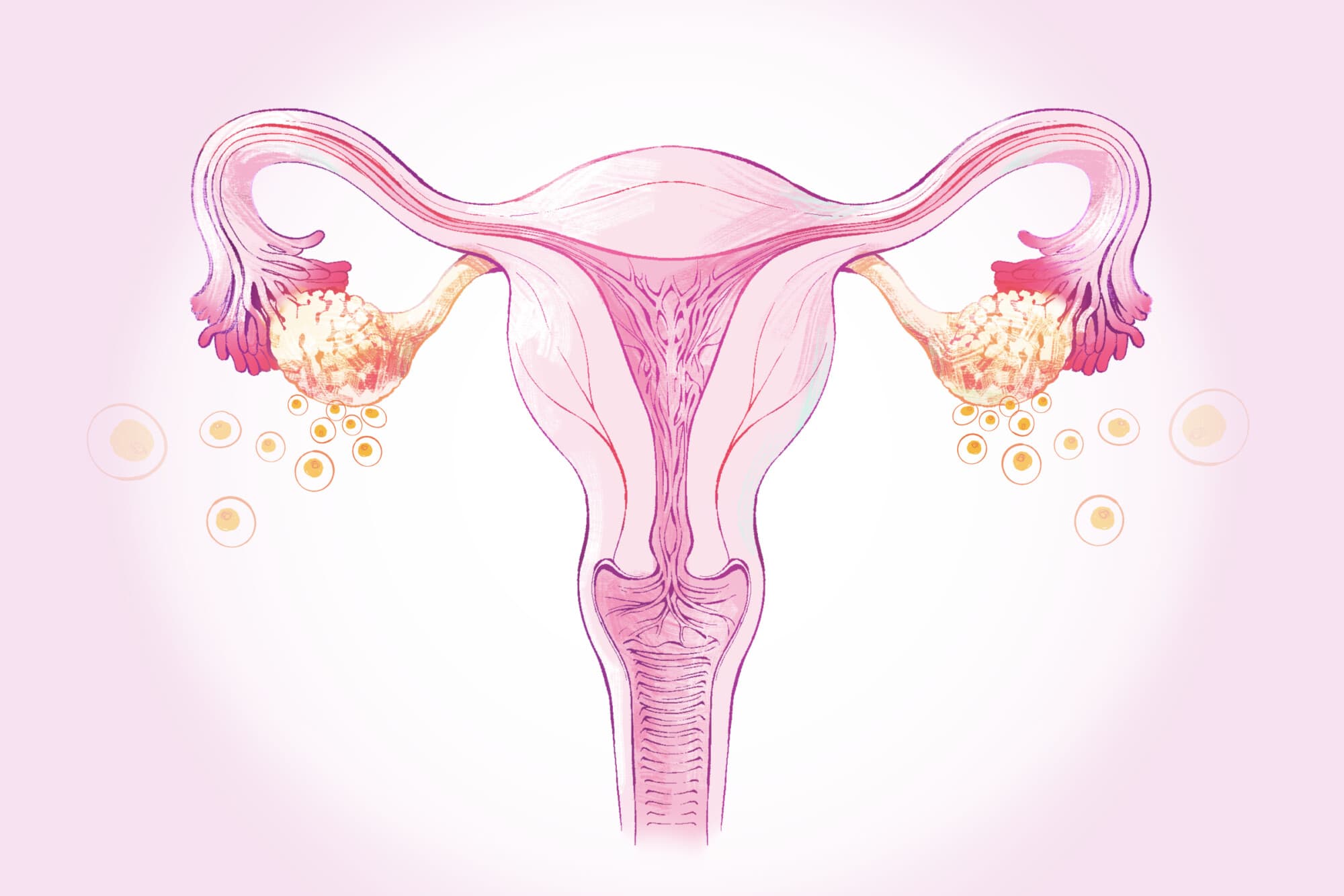 Menopausia: Una etapa natural que toda mujer vive después de los 45 y cómo aliviarla. (Ilustración de The Epoch Times, Shutterstock).
