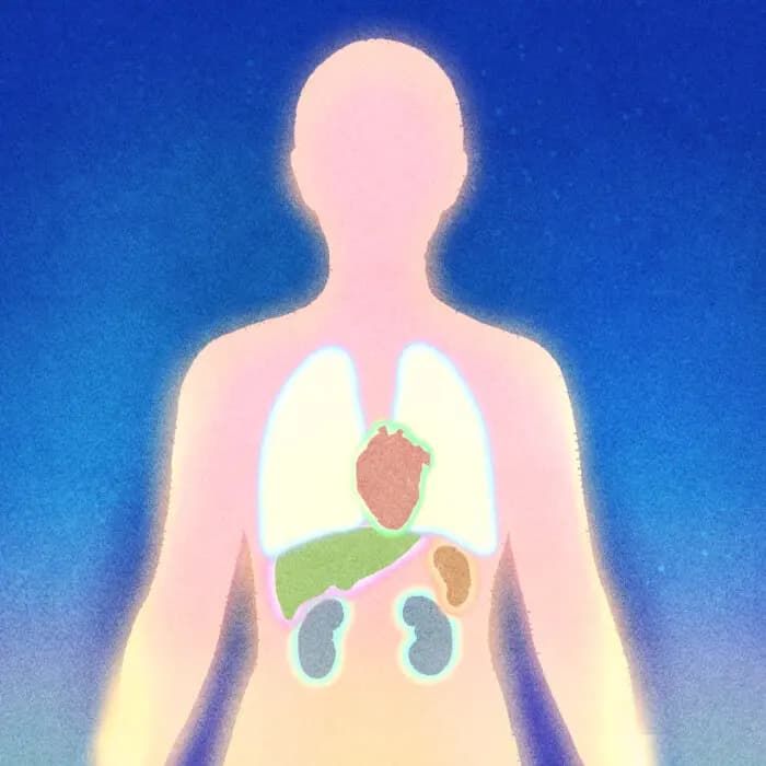 Las 5 virtudes que influyen directamente en su salud. (Ilustración de Ran/The Epoch Times).